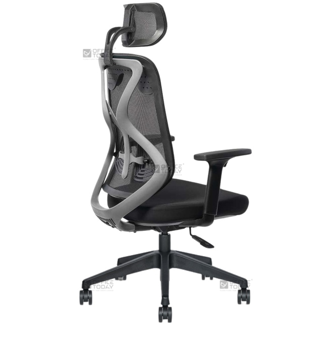 OT-446-C