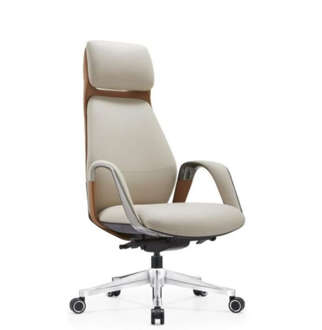 director-and-visitor-chair